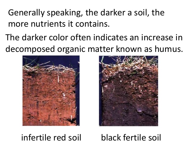 fertile vs infertile soil