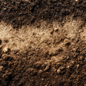 raw topsoil
